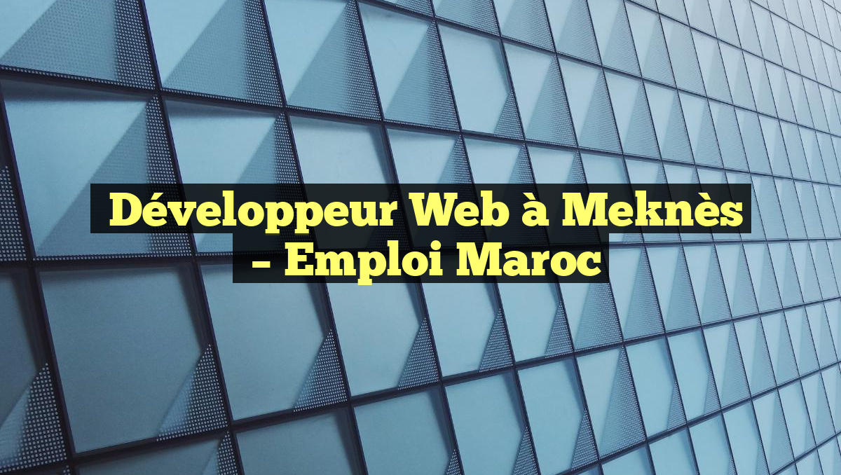  Développeur Web à Meknès
– Emploi Maroc